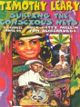 Surfing The Conscious Nets: A Graphic Novel - Preview