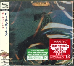 Capa do artigo Surf's Up - CD