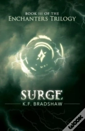 Capa do artigo Surge