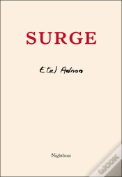 Capa do artigo Surge