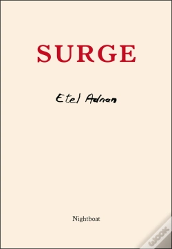 Capa do artigo Surge