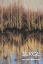 Surge - Preview