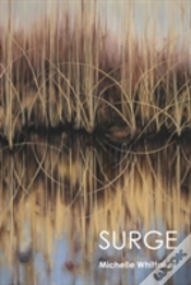 Capa do artigo Surge