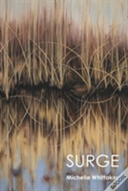 Capa do artigo Surge