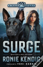 Capa do artigo Surge