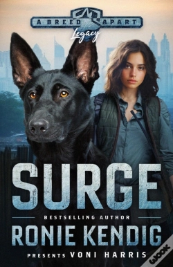 Capa do artigo Surge