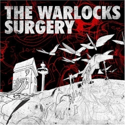 Capa do artigo Surgery - CD