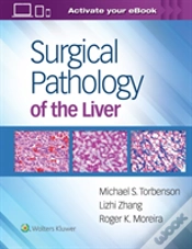 Capa do artigo Surgical Pathology Of The Liver