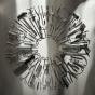Surgical Steel - Vinil - Preview