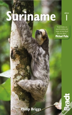 Capa do artigo Suriname