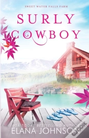 Capa do artigo Surly Cowboy