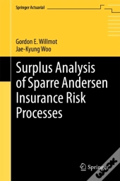 Surplus Analysis Of Sparre Andersen Insurance Risk Processes