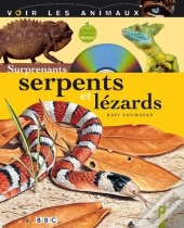 Surprenants Serpents Et Lézard