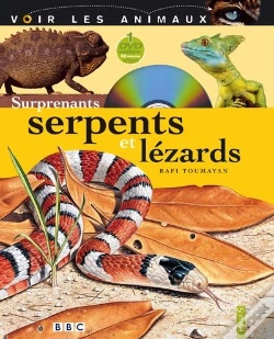 Capa do artigo Surprenants Serpents Et Lézard