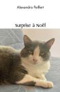 Surprise À Noël - Preview