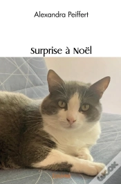 Capa do artigo Surprise À Noël