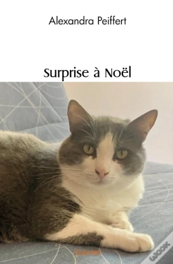 Capa do artigo Surprise À Noël