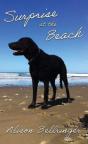Surprise At The Beach - Preview