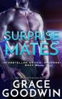 Surprise Mates - Preview