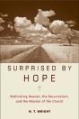Surprised By Hope - Preview