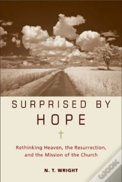 Capa do artigo Surprised By Hope