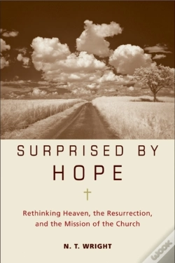 Capa do artigo Surprised By Hope