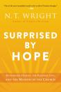 Surprised By Hope - Preview