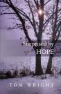 Surprised By Hope - Preview
