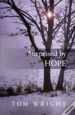 Capa do artigo Surprised By Hope