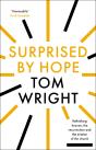 Surprised By Hope - Preview