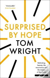 Capa do artigo Surprised By Hope