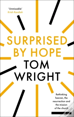 Capa do artigo Surprised By Hope
