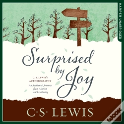 Capa do artigo Surprised By Joy