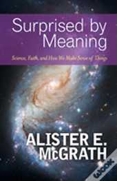 Surprised By Meaning