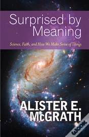 Capa do artigo Surprised By Meaning