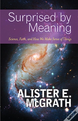 Capa do artigo Surprised By Meaning