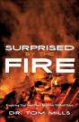Surprised By The Fire - Preview