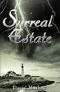 Surreal Estate - Preview