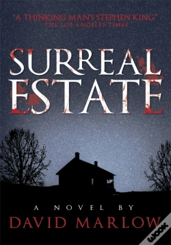 Capa do artigo Surreal Estate