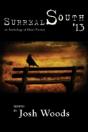 Surreal South '13 - Preview