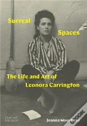 Capa do artigo Surreal Spaces