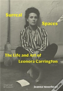 Capa do artigo Surreal Spaces