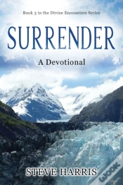 Capa do artigo Surrender