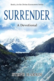 Capa do artigo Surrender