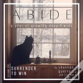 Surrender To Win