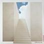Surrender - Vinil - Preview
