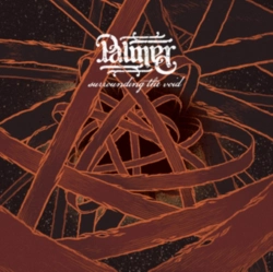Capa do artigo Surrounding the Void - CD