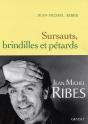 Sursauts, Brindilles Et Petards - Preview