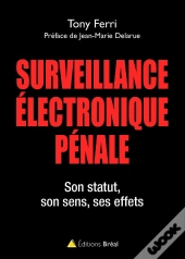 Surveillance Électronique Pénale ; Son Statut, Son Sens, Ses Effets