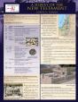 Survey Of The New Testament Laminated Sheet - Preview
